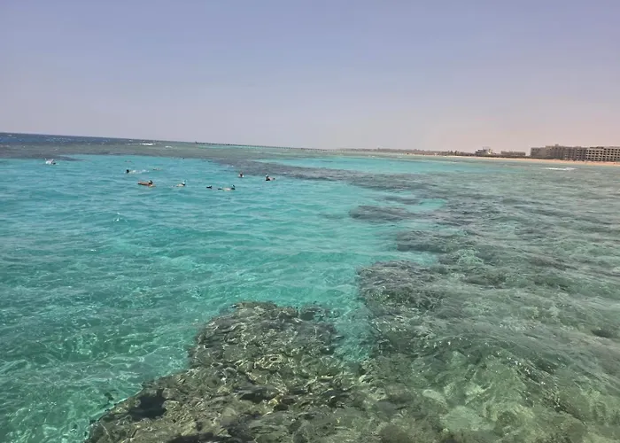 Gravity Sahl Hasheesh *
